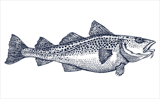 海魚插畫圖片 海魚插畫圖片