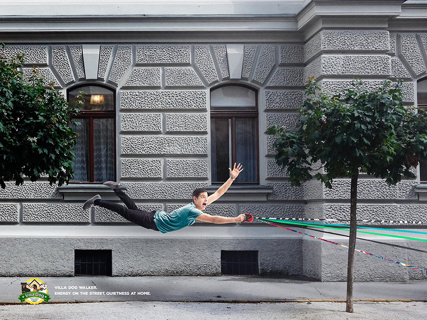 Villa Dog Pet Shop 遛狗牽引繩平面廣告Villa Dog Pet Shop 遛狗牽引繩平面廣告之間，跑的快不如拉力強(qiáng)