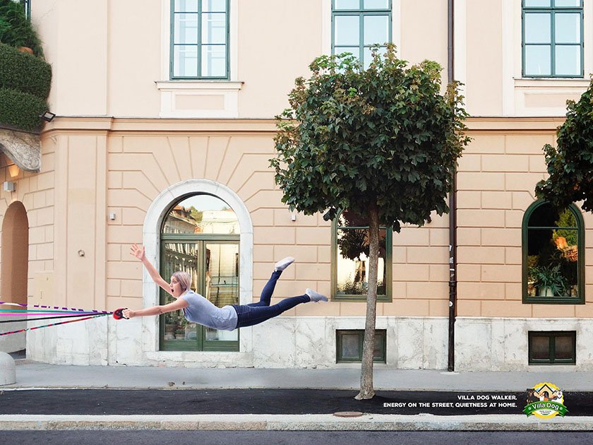 Villa Dog Pet Shop 遛狗牽引繩平面廣告之間，跑的快不如拉力強(qiáng)