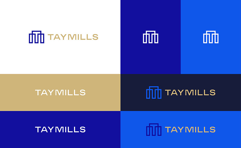 泰米爾斯房地產(chǎn)公司品牌vi設(shè)計視覺識別系統(tǒng)