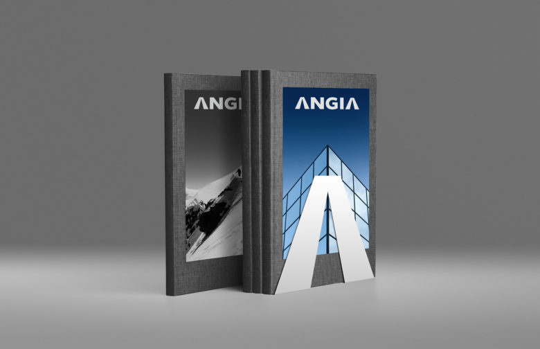 ANGIA房地產(chǎn)投資公司logo/VI設(shè)計(jì)，源自建筑的向上運(yùn)動(dòng)風(fēng)格