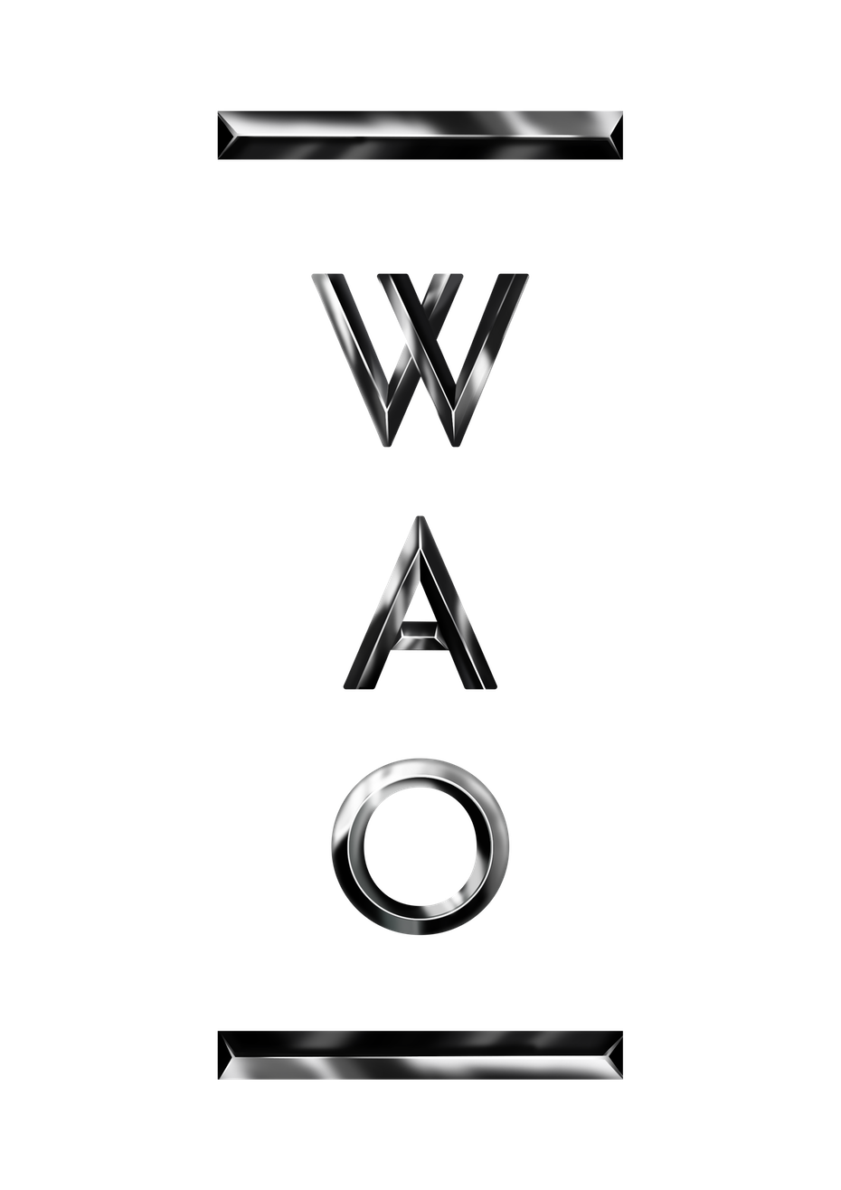 奢華的黑白標(biāo)志logo設(shè)計(jì)-3D徽標(biāo)logo