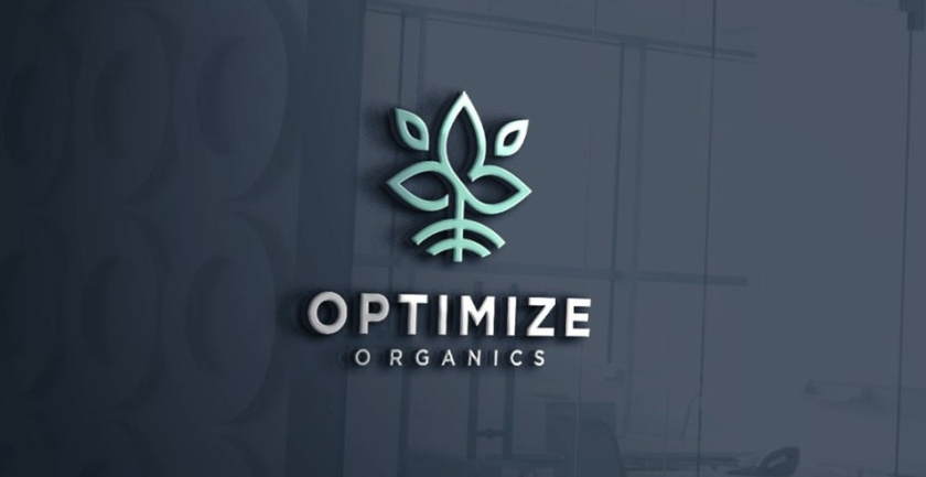 展現(xiàn)成功的咨詢顧問logo設(shè)計(jì)