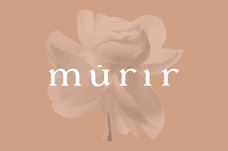 m?rir化妝品品牌vi視覺形象設(shè)計與包裝設(shè)計