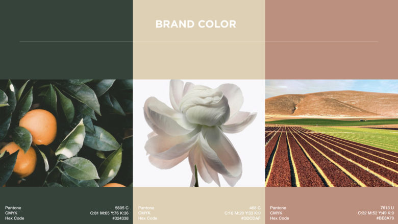 m?rir化妝品品牌vi視覺形象設(shè)計-品牌色彩