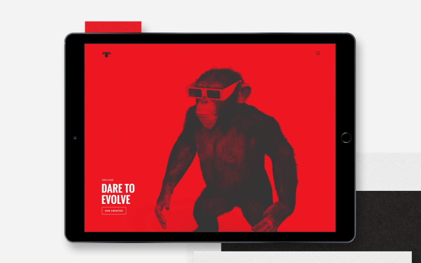 Envolve 媒體品牌形象重塑與簡約幾何風(fēng)格猴頭logo設(shè)計(jì) Envolve 媒體品牌形象重塑與簡約幾何風(fēng)格猴頭logo設(shè)計(jì)