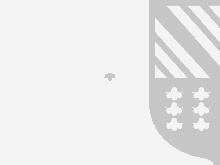 ELLAS珠寶品牌logo設計與品牌vi形象設計，三個花朵徽章