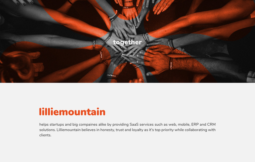 Lilliee 互聯(lián)網(wǎng)IT科技公司品牌形象設(shè)計-logo/vi設(shè)計