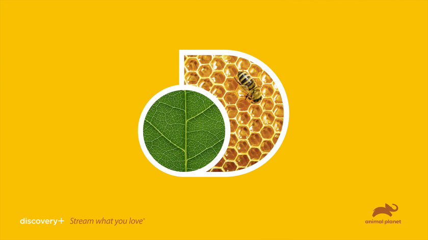 Discovery+探索電視節(jié)目頻道品牌logo設(shè)計(jì)，光譜色幾何D和一個(gè)圓的結(jié)合