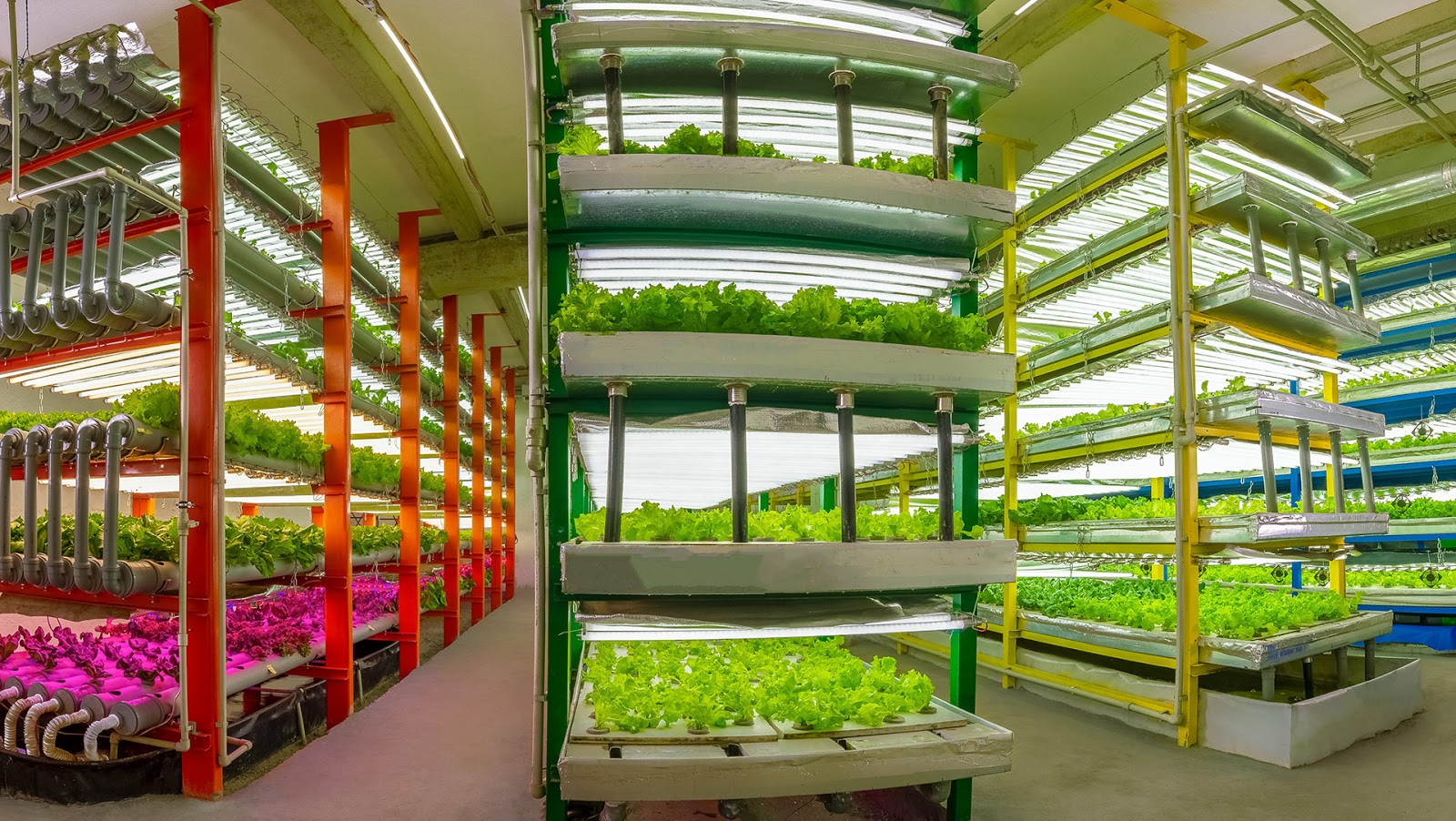 BABYMIX垂直農(nóng)場蔬菜沙拉透明盒裝包裝設(shè)計，用透明突出新鮮