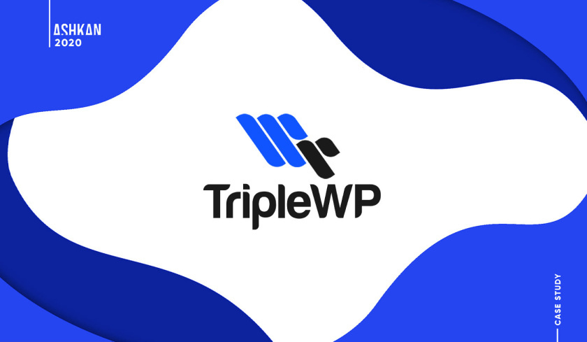 TripleWP wordpress模板網(wǎng)站科技公司logo設計與vi設計，科技藍色風格