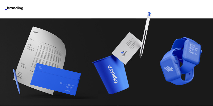 TripleWP wordpress模板網(wǎng)站科技公司logo設(shè)計(jì)與vi設(shè)計(jì)，科技藍(lán)色風(fēng)格