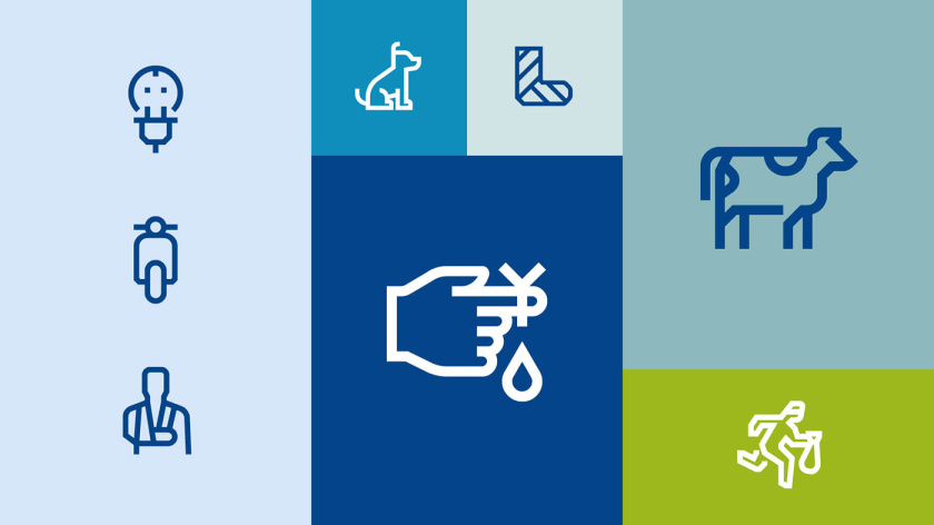 拜仁保險(xiǎn)公司品牌vi視覺(jué)形象系統(tǒng)設(shè)計(jì)規(guī)范，靈活便于應(yīng)用