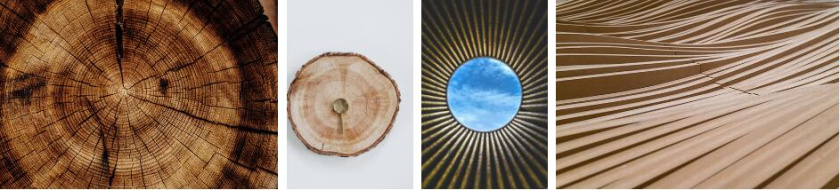 Woodie 高端家具制造品牌logo設計vi設計 ”木紋元素“