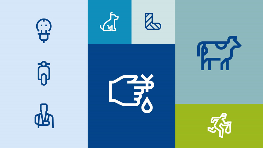 Bayern拜仁保險(xiǎn)公司vi設(shè)計(jì)與視覺識(shí)別系統(tǒng)，適合任何媒體的應(yīng)用系統(tǒng)