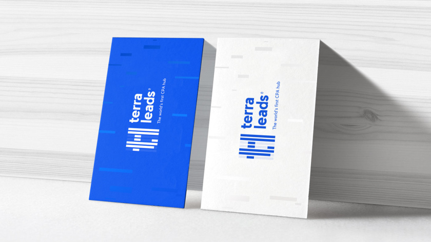 Terra Leads 注冊會計師互聯(lián)網(wǎng)平臺網(wǎng)站品牌形象logo設計vi設計，變化的垂直線條