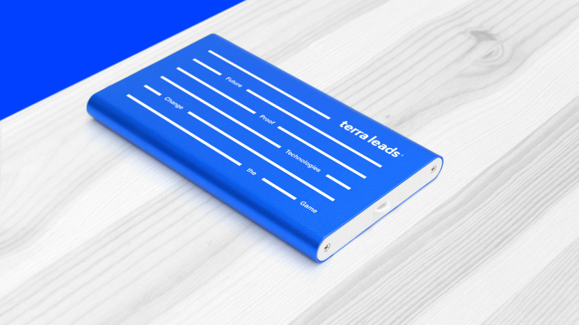 Terra Leads 注冊會計師互聯(lián)網(wǎng)平臺網(wǎng)站品牌形象logo設計vi設計-品牌禮品，變化的垂直線條