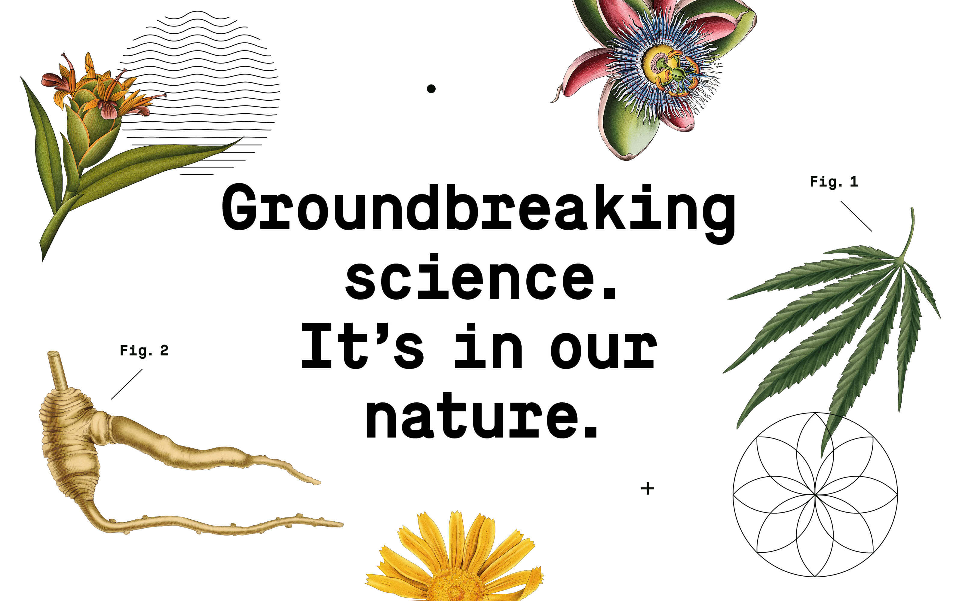 Healist大麻二酚CBD草本保健品藥品包裝設(shè)計(jì)，自然植物與現(xiàn)代科學(xué)的平衡