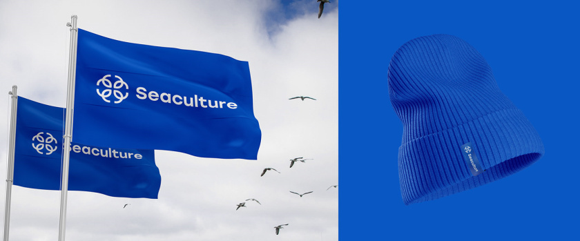 Seaculture 海水養(yǎng)殖海鮮品牌logo與vi識(shí)別設(shè)計(jì),四個(gè)線條魚組合 Seaculture 海水養(yǎng)殖海鮮品牌logo與vi識(shí)別設(shè)計(jì),四個(gè)線條魚組合