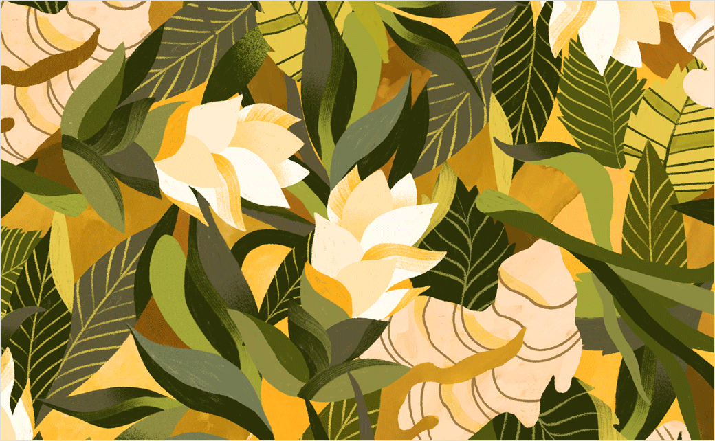 Kib''''天然保健花草茶茶葉包裝設(shè)計-手繪插畫設(shè)計