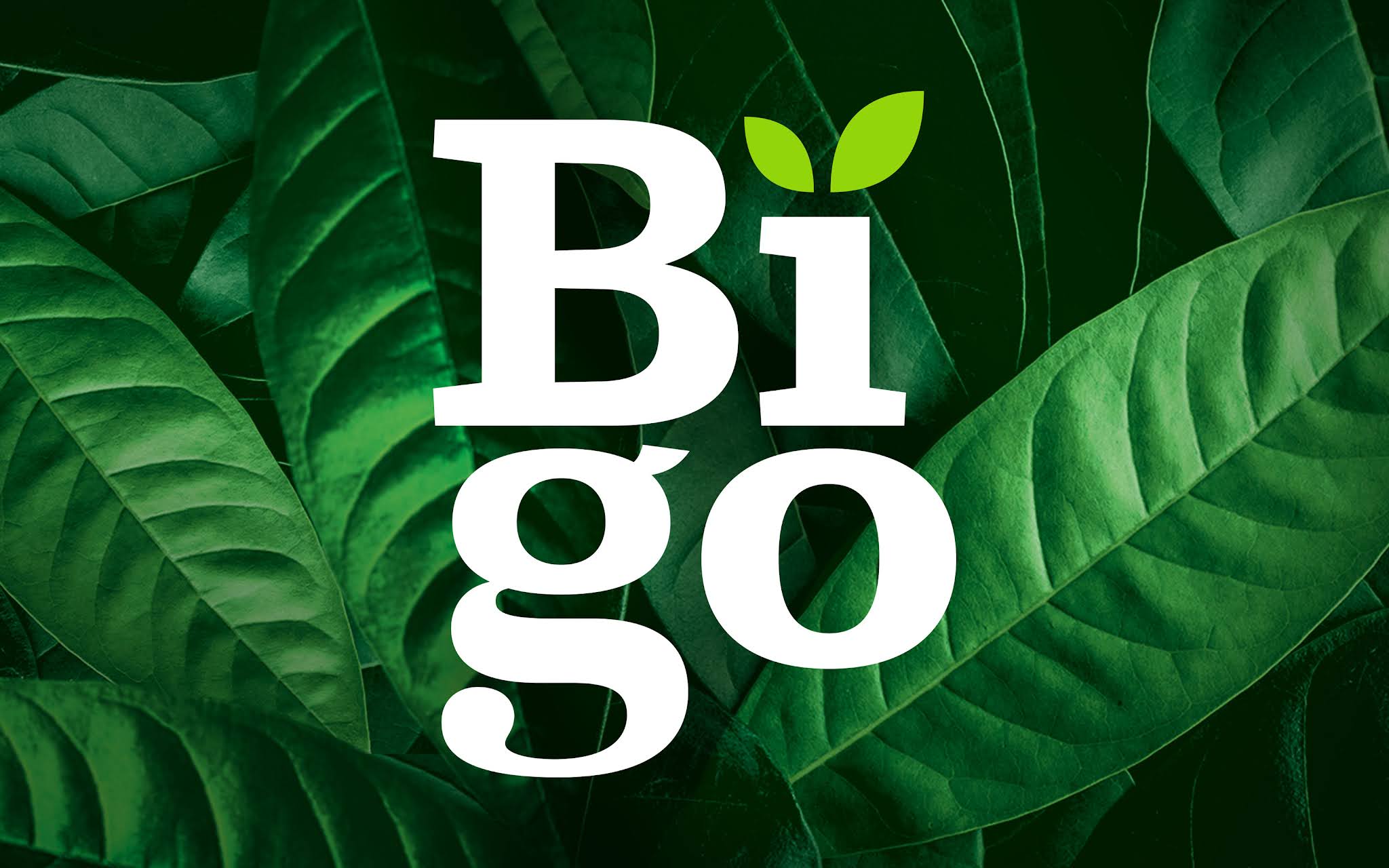 Bigo純天然功能飲料包裝設(shè)計”活力綠色白色“版式