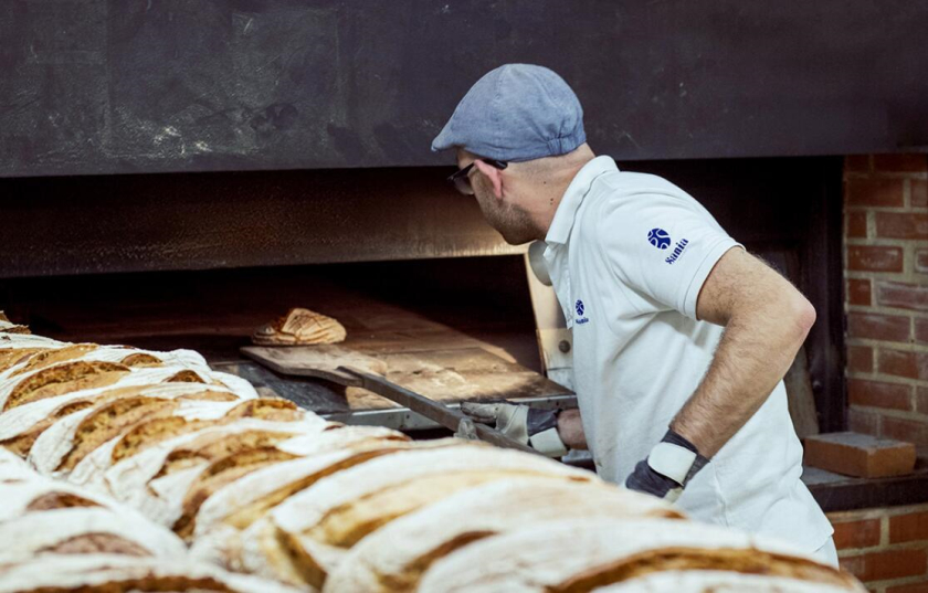 sania 烘培面包店品牌vi形象設(shè)計，寶藍色面包手繪線條輪廓圖案