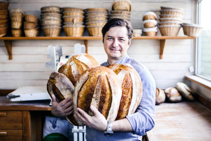 sania 烘培面包店品牌vi形象設(shè)計，寶藍色面包手繪線條輪廓圖案