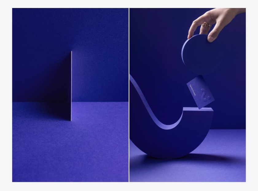 Sambrinvest 金融集團(tuán)公司logo設(shè)計(jì)品牌形象vi設(shè)計(jì)，單色簡約而又藝術(shù)的風(fēng)格