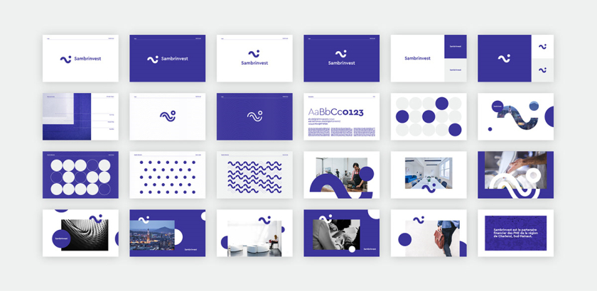 Sambrinvest 金融集團(tuán)公司logo設(shè)計(jì)品牌形象vi設(shè)計(jì)，單色簡約而又藝術(shù)的風(fēng)格