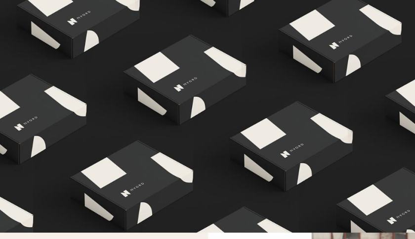 Nyord 服飾品牌識別設(shè)計-logo與vi設(shè)計,獨特的字母N設(shè)計及組合圖案