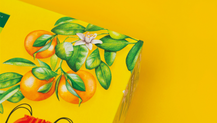 Palmolive 洗護(hù)沐浴露禮品套裝禮盒包裝設(shè)計(jì),對角線植物圖案 Palmolive 洗護(hù)沐浴露禮品套裝禮盒包裝設(shè)計(jì),對角線植物圖案