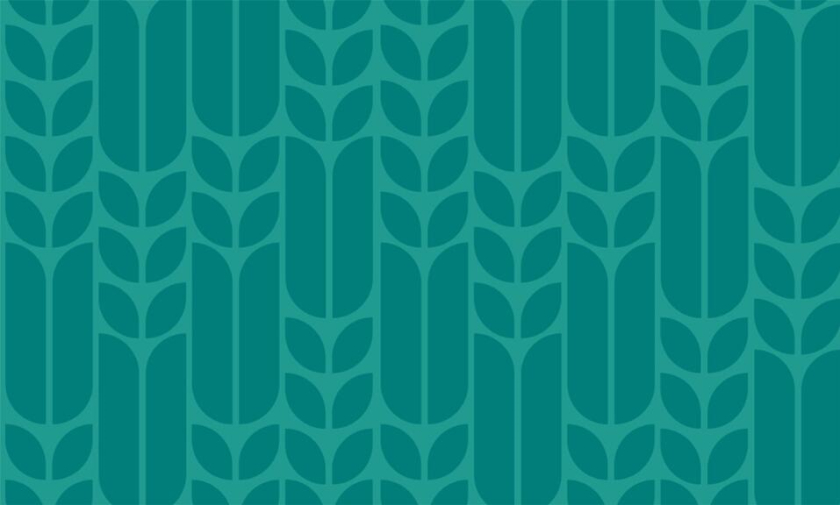 Agrotech農(nóng)業(yè)科技公司品牌形象設(shè)計(jì)與“禾苗葉子”vi輔助圖形設(shè)計(jì)