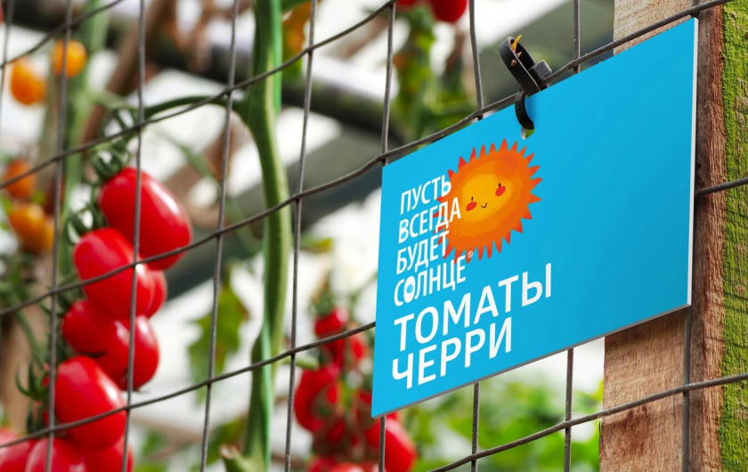 “永遠的陽光”西紅柿小番茄農(nóng)產(chǎn)品品牌創(chuàng)建策劃設(shè)計-logo包裝設(shè)計 “永遠的陽光”西紅柿小番茄農(nóng)產(chǎn)品品牌創(chuàng)建策劃設(shè)計-logo包裝設(shè)計