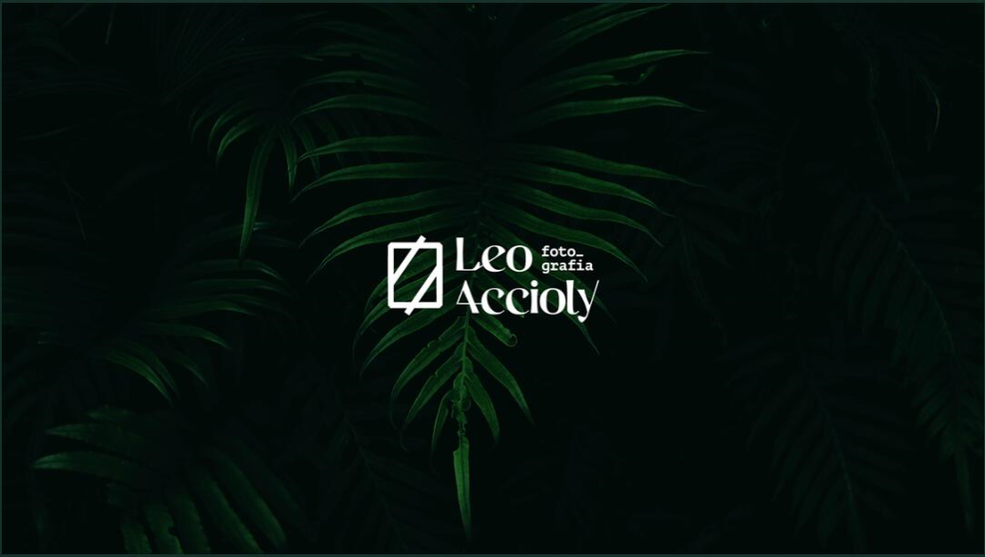 Leo Accioly 高質(zhì)量攝影公司品牌識(shí)別設(shè)計(jì)logo設(shè)計(jì)