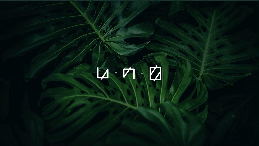 Leo Accioly 高質(zhì)量攝影公司品牌識(shí)別設(shè)計(jì)logo設(shè)計(jì)