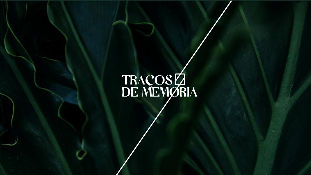 Leo Accioly 高質(zhì)量攝影公司品牌識(shí)別設(shè)計(jì)logo設(shè)計(jì)vi設(shè)計(jì)