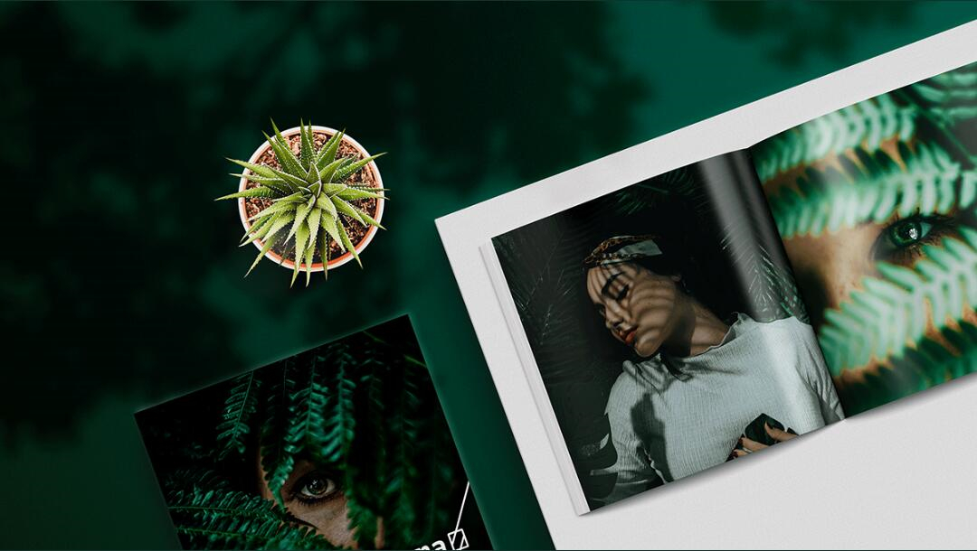 Leo Accioly 高質(zhì)量攝影公司品牌識(shí)別設(shè)計(jì)