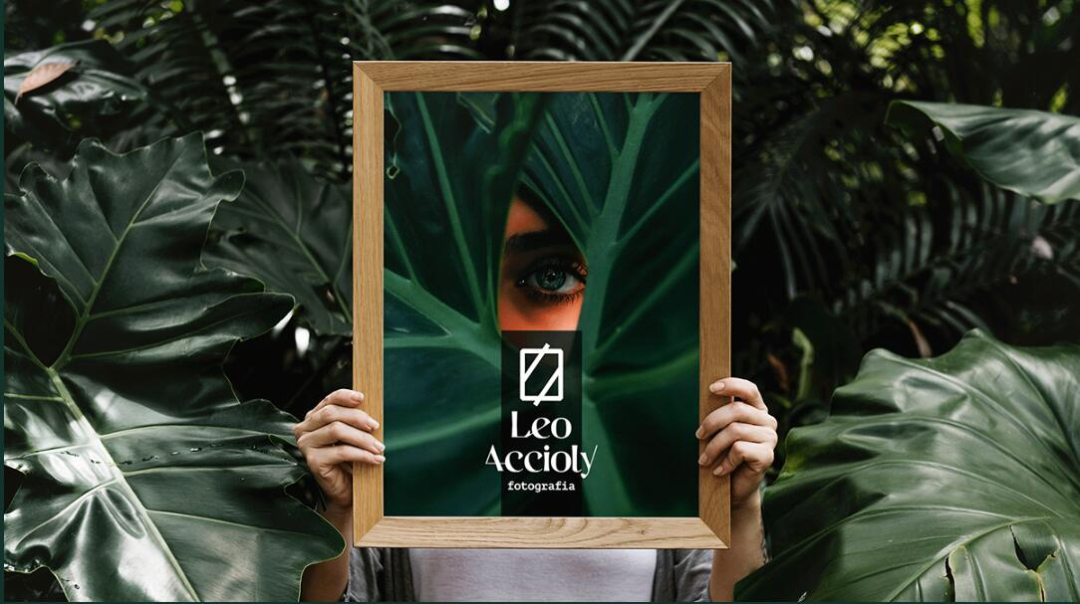 Leo Accioly 高質(zhì)量攝影公司品牌識(shí)別設(shè)計(jì)