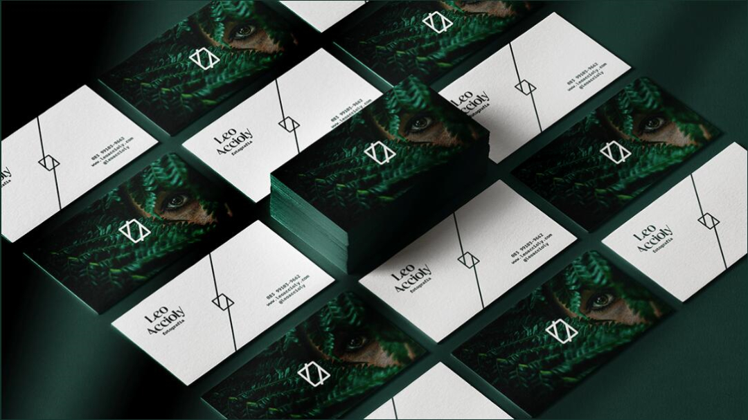 Leo Accioly 高質(zhì)量攝影公司品牌識(shí)別設(shè)計(jì)