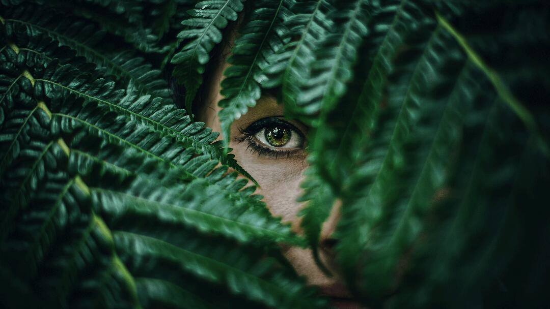 Leo Accioly 高質(zhì)量攝影公司品牌識(shí)別設(shè)計(jì)