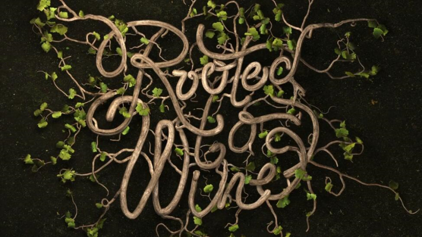 Roots 烏克蘭進(jìn)口葡萄酒公司vi設(shè)計,梯田線條元素 Roots 烏克蘭進(jìn)口葡萄酒公司vi設(shè)計,梯田線條元素