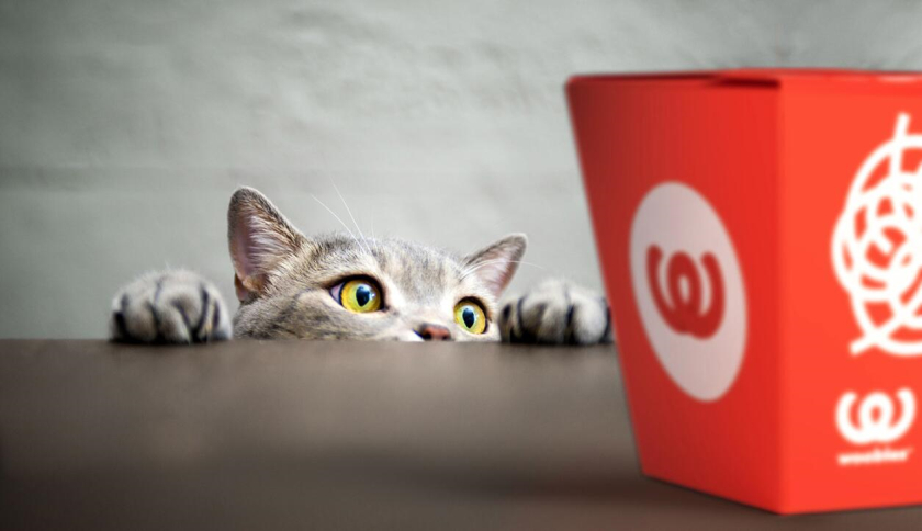 Woobles 明火炒鍋餐廳餐飲品牌創(chuàng)建與全案策劃設(shè)計-自拍愛好者的貼紙墻壁 Woobles 明火炒鍋餐廳餐飲品牌創(chuàng)建與全案策劃設(shè)計-自拍愛好者的貼紙墻壁