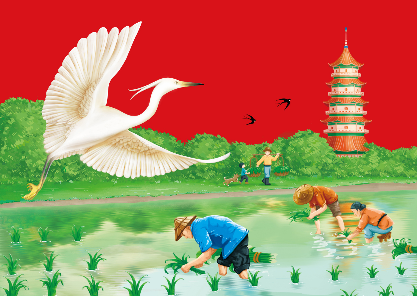 有水有田江蘇東臺大米品牌起名與包裝設(shè)計(jì)插畫設(shè)計(jì)