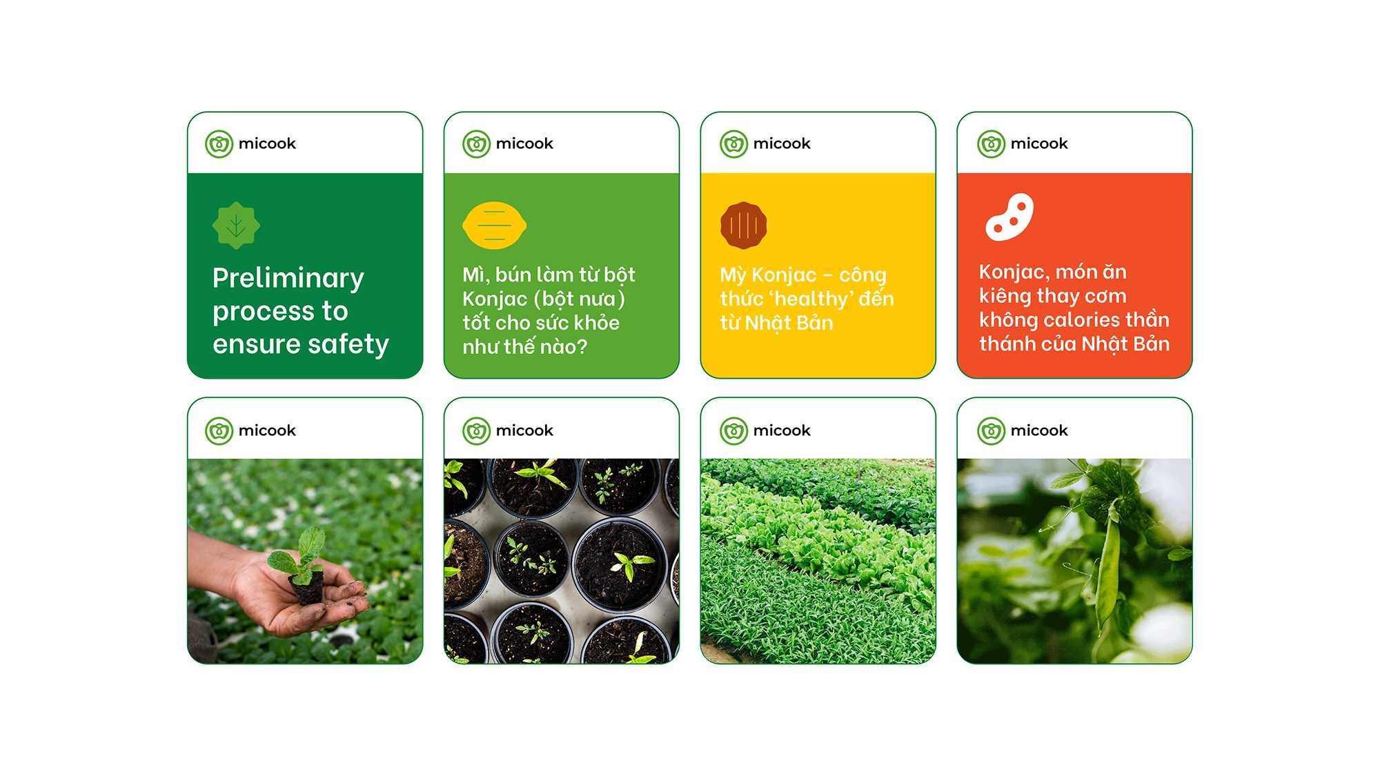 Micook食品農(nóng)產(chǎn)品農(nóng)業(yè)公司logo設(shè)計(jì)“鐘形辣椒+水滴+圓圈”vi設(shè)計(jì) Micook食品農(nóng)產(chǎn)品農(nóng)業(yè)公司logo設(shè)計(jì)“鐘形辣椒+水滴+圓圈”vi設(shè)計(jì)