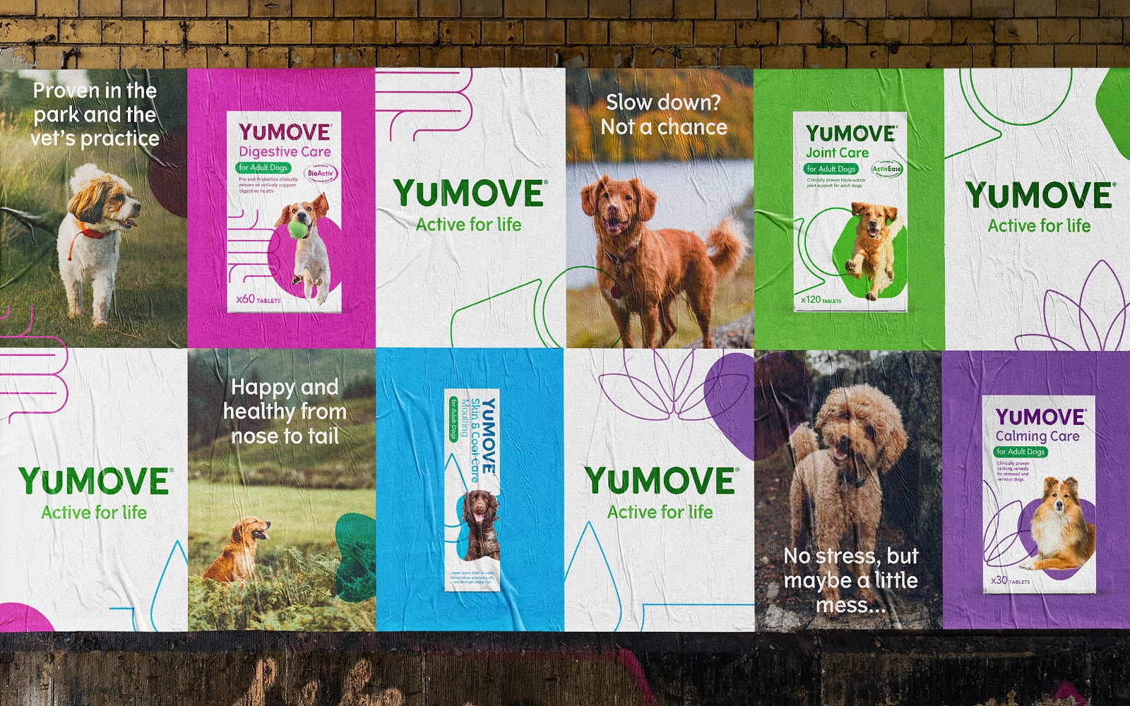 YuMOVE寵物護(hù)理品牌戰(zhàn)略策劃與系列產(chǎn)品包裝形象更新設(shè)計(jì)‘色塊+線條“ YuMOVE寵物護(hù)理品牌戰(zhàn)略策劃與系列產(chǎn)品包裝形象更新設(shè)計(jì)‘色塊+線條“