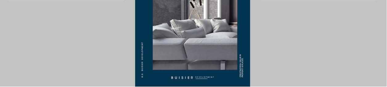 Buisier 別墅地產(chǎn)項(xiàng)目logo設(shè)計(jì)vi形象設(shè)計(jì)，B+D字母+方框