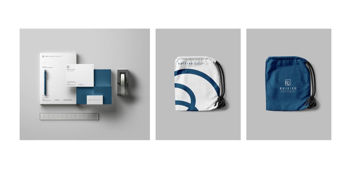 Buisier 別墅地產(chǎn)項(xiàng)目logo設(shè)計(jì)vi形象設(shè)計(jì)，B+D字母+方框