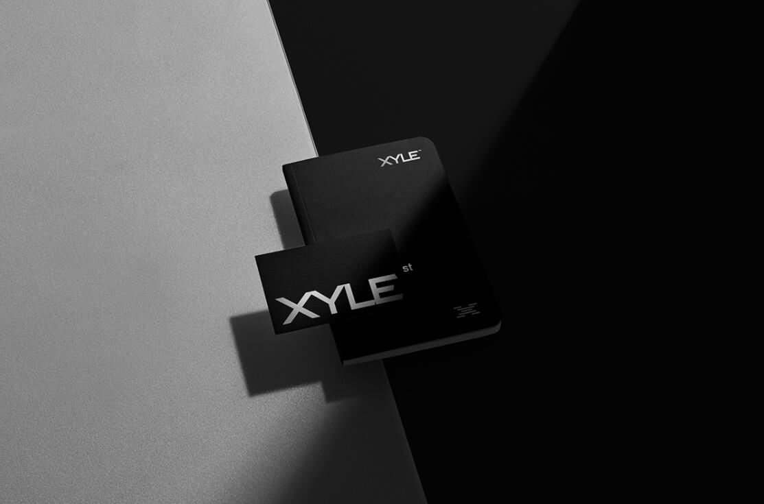 Xyle建筑設(shè)計(jì)公司logo設(shè)計(jì)品牌形象vis設(shè)計(jì)，x磚塊logo與超酷黑白漸變vi風(fēng)