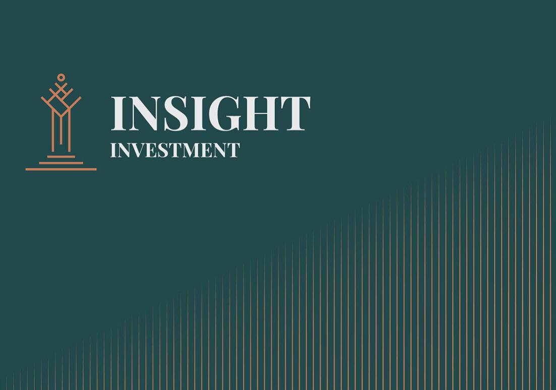 Insight 金融投資公司logo設(shè)計(jì)vis設(shè)計(jì)，基石與增長線條元素