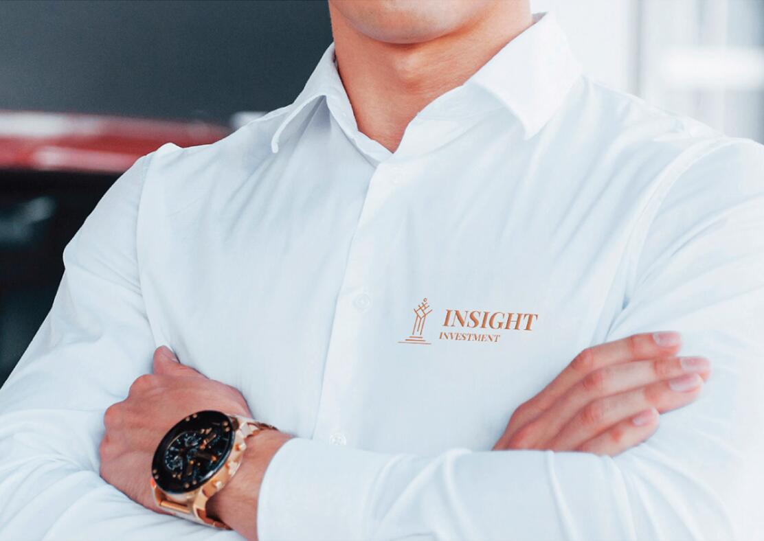 Insight 金融投資公司logo設(shè)計(jì)vis設(shè)計(jì)，基石與增長(zhǎng)線條元素